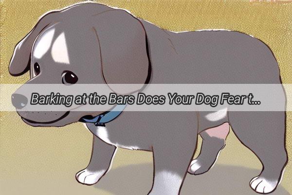 Barking at the Bars Does Your Dog Fear the Clothesline